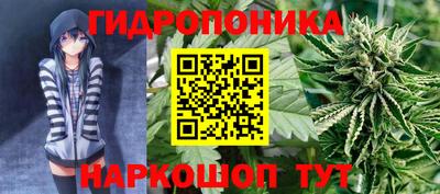 прущий лед Гай
